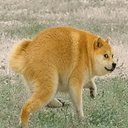 Dogethy
