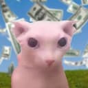 BINGUS