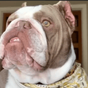Otis