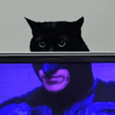catman