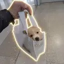 Sheet-zu
