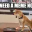 MEMEDOG