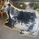 COWCH