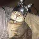 tinfoil