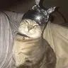 tinfoil