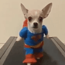 superdog