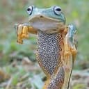 $FROG