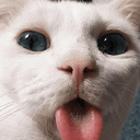 kittylick