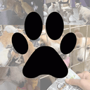 Paws
