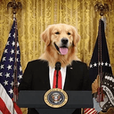 pup