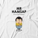 HAMSAP