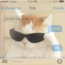 txtcat