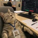 摆烂小猫
