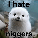 Niggers