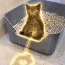 pisscat