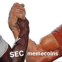 SEC🤝memecoins