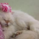 SLEEP