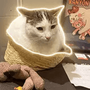 Kanyon