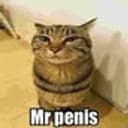mrpenis