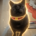 ふみふみ
