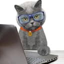 CYBERCAT