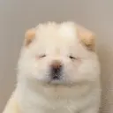 MP