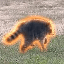 Jimothy