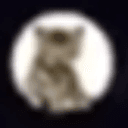 DEV