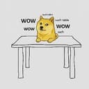 Top dog