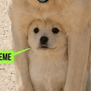 UNDERFOUR