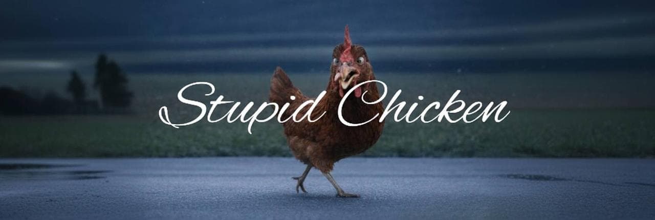 Stupid Chicken Banner