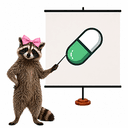 Raccoon
