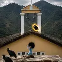 VULTURE