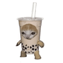 boba