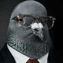 PIGEON