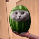 catmelon