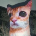 Godxi