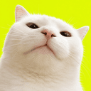 VIBECAT