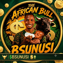 $BSUNUSI