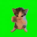 SCUBA