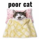POORCAT