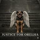 Orelha