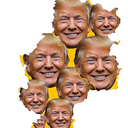 Donnyland