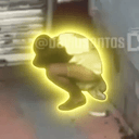 Shitpocalypse