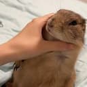 富贵