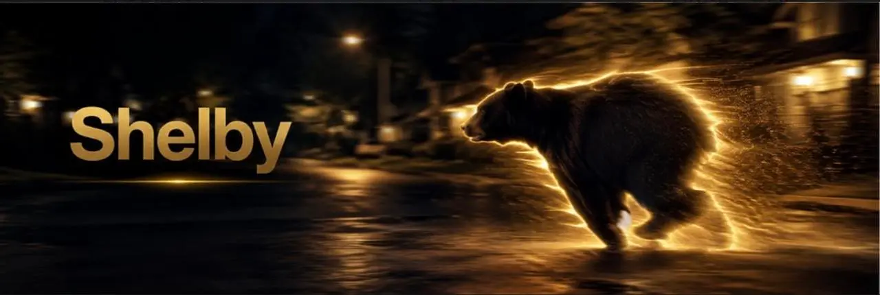 Shelby County Bear Banner