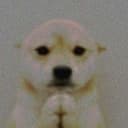 wifout