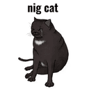NIGCAT
