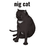 NIGCAT