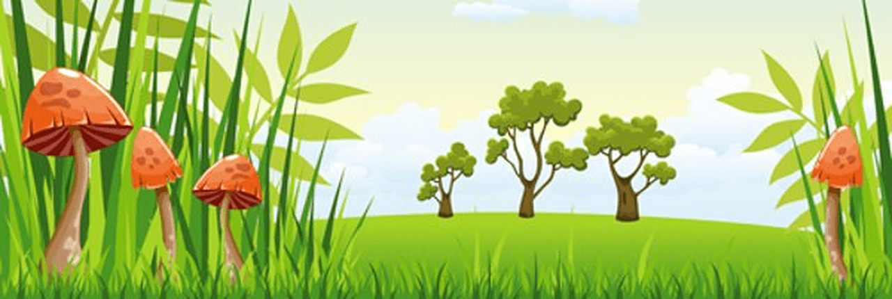 Olive Branch Network Banner